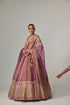 Mud Mauve Multicolor Chita Sequin Scattered Lehenga Set With V Neck Full Sleeves